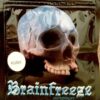 Buy Brainfreeze Herbal Potpourri 5g Online
